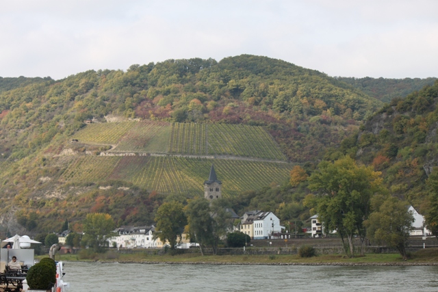 Along the Rhine, Germany